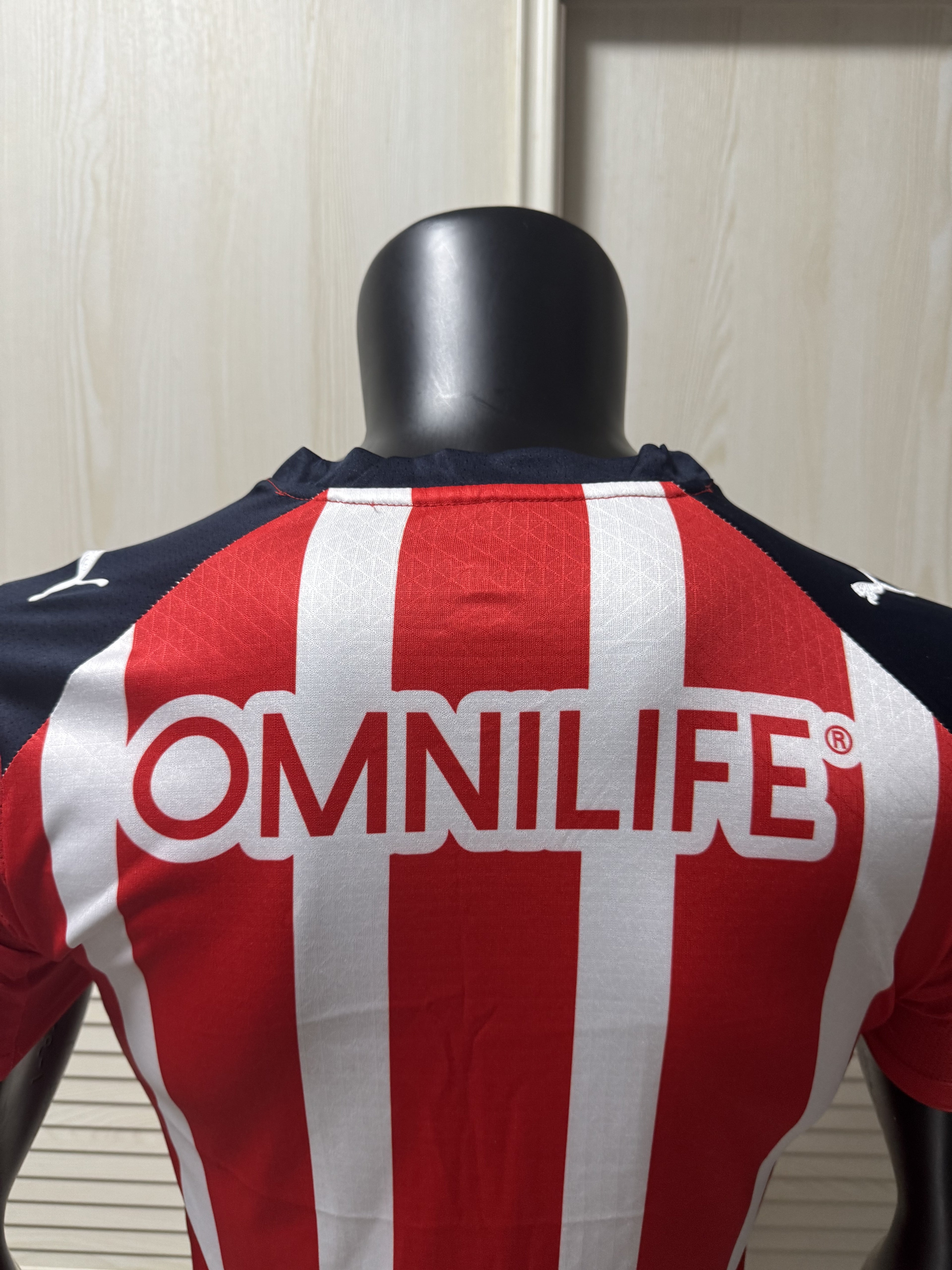 Chivas de Guadalajara Home 2526 Standard Kit