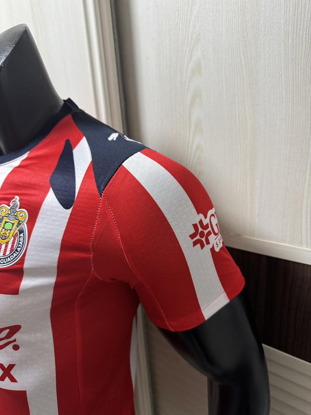 Chivas de Guadalajara Home 2526 Standard Kit